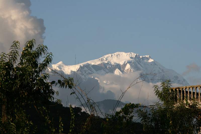 India & Nepal 2011 - 0476